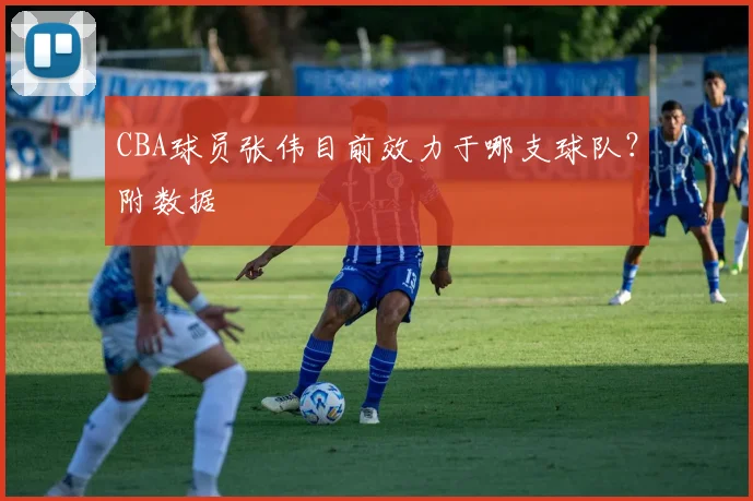 CBA球员张伟目前效力于哪支球队？附数据