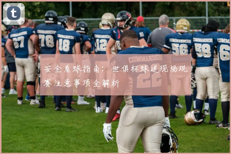 安全看球指南：世俱杯球迷现场观赛注意事项全解析